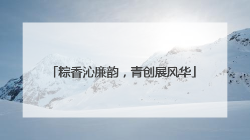 粽香沁廉韵，青创展风华