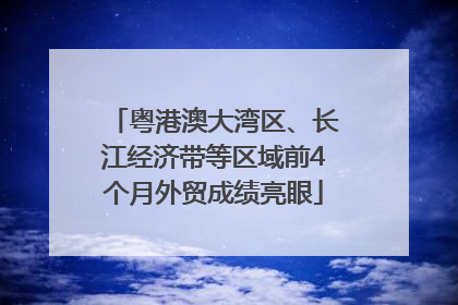 粤港澳大湾区、长江经济带等区域前4个月外贸成绩亮眼