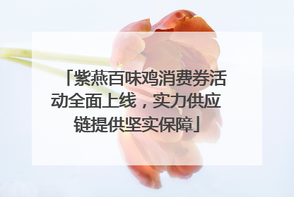 紫燕百味鸡消费券活动全面上线，实力供应链提供坚实保障