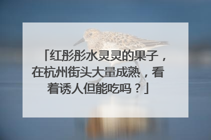 红彤彤水灵灵的果子，在杭州街头大量成熟，看着诱人但能吃吗？