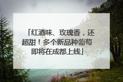 红酒味、玫瑰香，还超甜！多个新品种葡萄即将在成都上线
