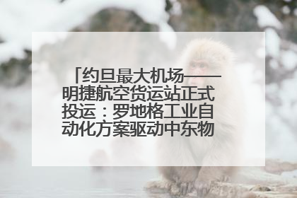 约旦最大机场——明捷航空货运站正式投运：罗地格工业自动化方案驱动中东物流未来新航向
