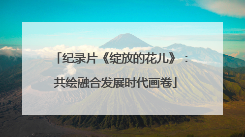纪录片《绽放的花儿》：共绘融合发展时代画卷