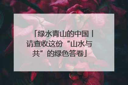 绿水青山的中国丨请查收这份“山水与共”的绿色答卷
