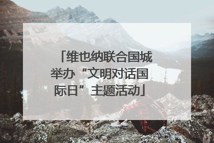 维也纳联合国城举办“文明对话国际日”主题活动