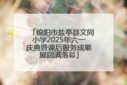 绵阳市盐亭县文同小学2025年六一庆典暨课后服务成果展圆满落幕
