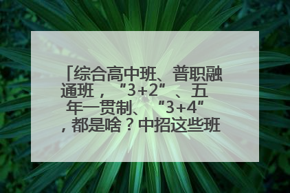 综合高中班、普职融通班，“3+2”、五年一贯制、“3+4”，都是啥？中招这些班，一文看懂