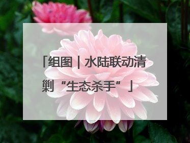 组图｜水陆联动清剿“生态杀手”