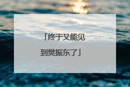 终于又能见到樊振东了