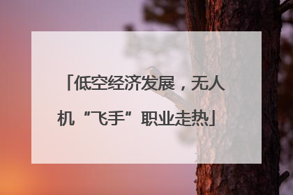低空经济发展，无人机“飞手”职业走热