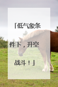 低气象条件下，升空战斗！