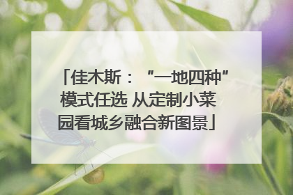 佳木斯：“一地四种” 模式任选 从定制小菜园看城乡融合新图景