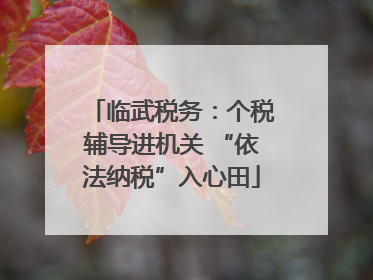 临武税务：个税辅导进机关 “依法纳税”入心田