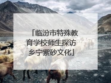 临汾市特殊教育学校师生探访乡宁紫砂文化