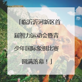 临沂沂河新区首届智力运动会暨青少年国际象棋比赛圆满落幕！