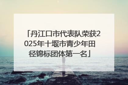 丹江口市代表队荣获2025年十堰市青少年田径锦标团体第一名