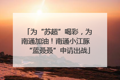 为“苏超”喝彩，为南通加油！南通小江豚“蓝叒叒”申请出战