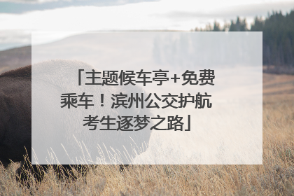 主题候车亭+免费乘车！滨州公交护航考生逐梦之路