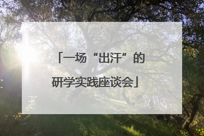 一场“出汗”的研学实践座谈会