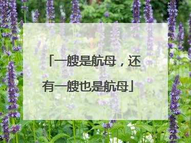 一艘是航母，还有一艘也是航母