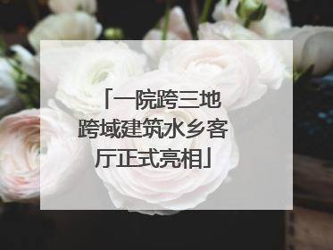 一院跨三地 跨域建筑水乡客厅正式亮相