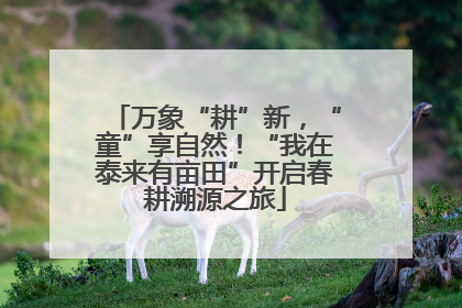 万象“耕”新，“童”享自然！“我在泰来有亩田”开启春耕溯源之旅