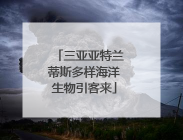 三亚亚特兰蒂斯多样海洋生物引客来