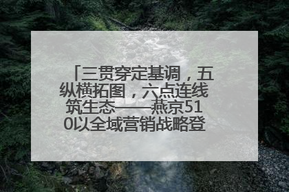 三贯穿定基调，五纵横拓图，六点连线筑生态——燕京510以全域营销战略登顶行业IP新高度