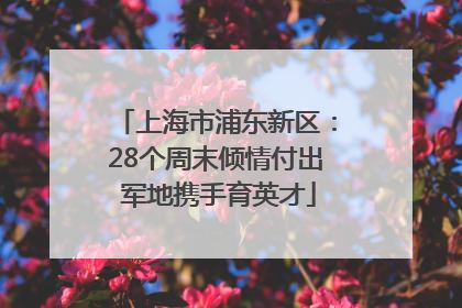 上海市浦东新区：28个周末倾情付出 军地携手育英才
