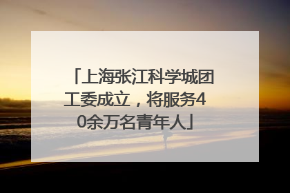 上海张江科学城团工委成立，将服务40余万名青年人