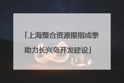上海整合资源攥指成拳助力长兴岛开发建设