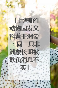 上海野生动物园发文科普非洲象：同一只非洲象长期被欺负消息不实