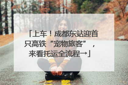 上车！成都东站迎首只高铁“宠物旅客”，来看托运全流程→