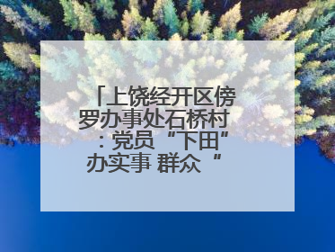 上饶经开区傍罗办事处石桥村：党员“下田”办实事 群众“点赞”笑开颜