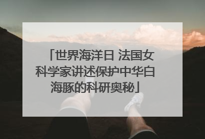 世界海洋日 法国女科学家讲述保护中华白海豚的科研奥秘