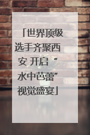世界顶级选手齐聚西安 开启“水中芭蕾”视觉盛宴