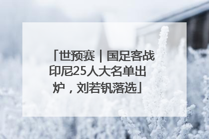 世预赛｜国足客战印尼25人大名单出炉，刘若钒落选