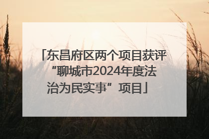 东昌府区两个项目获评“聊城市2024年度法治为民实事”项目