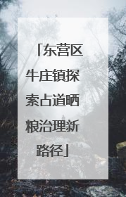 东营区牛庄镇探索占道晒粮治理新路径
