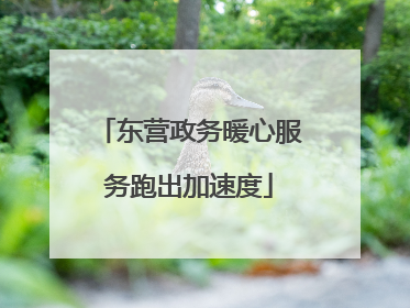 东营政务暖心服务跑出加速度