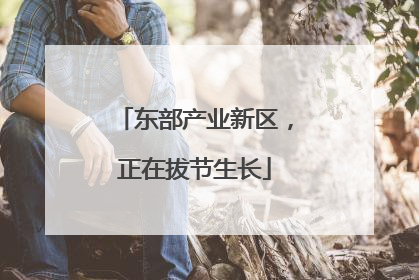 东部产业新区，正在拔节生长