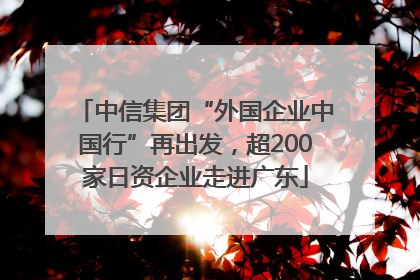 中信集团“外国企业中国行”再出发，超200家日资企业走进广东