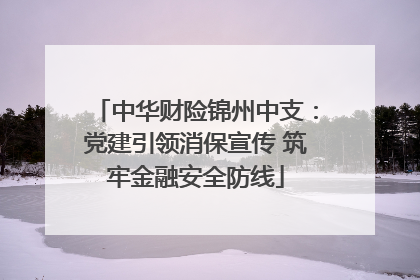 中华财险锦州中支：党建引领消保宣传 筑牢金融安全防线