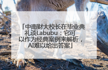 中南财大校长在毕业典礼谈Labubu：它可以作为经典案例来解析，AI难以给出答案