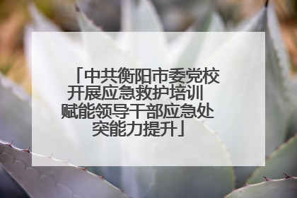 中共衡阳市委党校开展应急救护培训 赋能领导干部应急处突能力提升