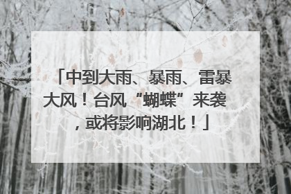 中到大雨、暴雨、雷暴大风！台风“蝴蝶”来袭，或将影响湖北！