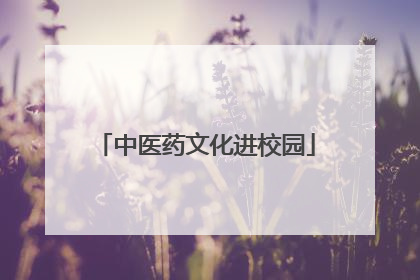 中医药文化进校园