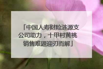 中国人寿财险涟源支公司助力，十甲村黄桃销售难题迎刃而解