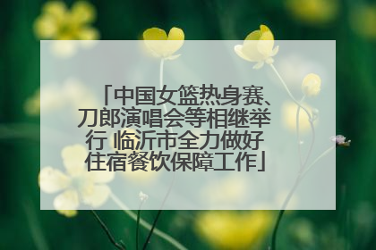 中国女篮热身赛、刀郎演唱会等相继举行 临沂市全力做好住宿餐饮保障工作