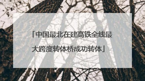中国最北在建高铁全线最大跨度转体桥成功转体
